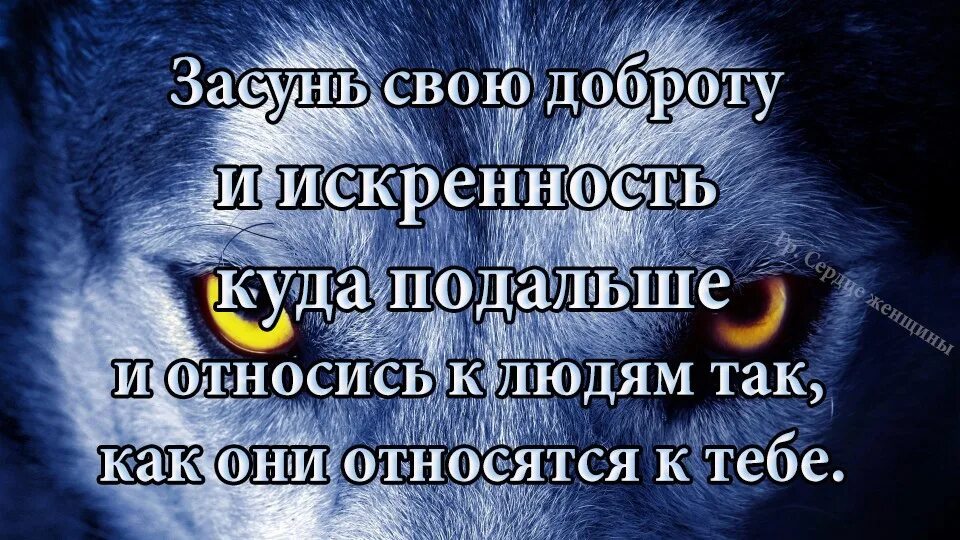 Как андреев относится к людям. Засулнь своб доьроту и сискренность. Цитаты относись к людям. Цитаты о человечности и доброте. Доброта и искренность.