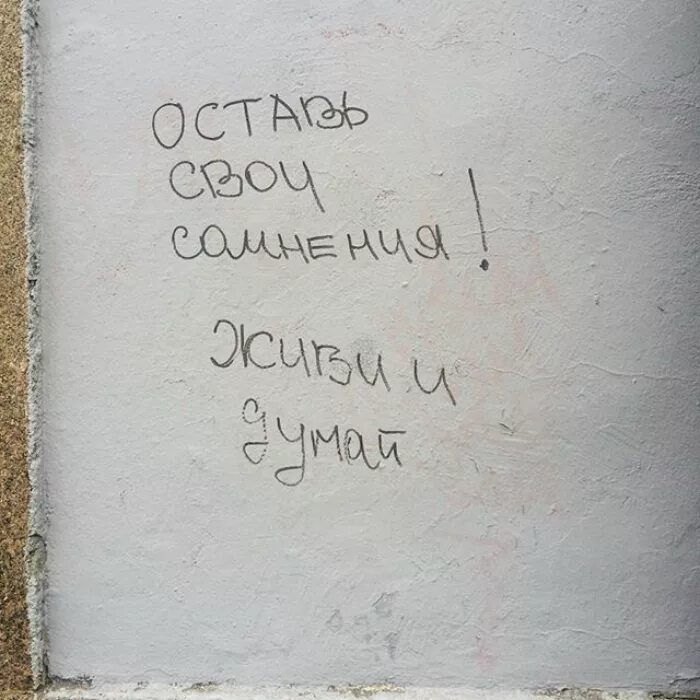 Цитаты про стены. Надписи на стенах. интересные надписи на стенах. фразы на стенах. цитаты на стенах.