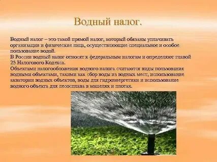 Водный налог 3 квартал 2024
