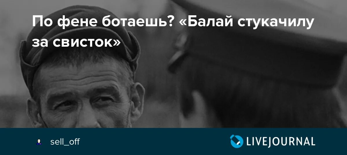 По фене ботать. Болтать по фене. По фене ботаешь что значит. Ботать по фене выражения.