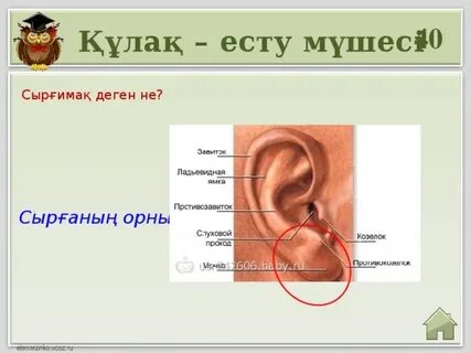 Жатақханадан жеке бейне