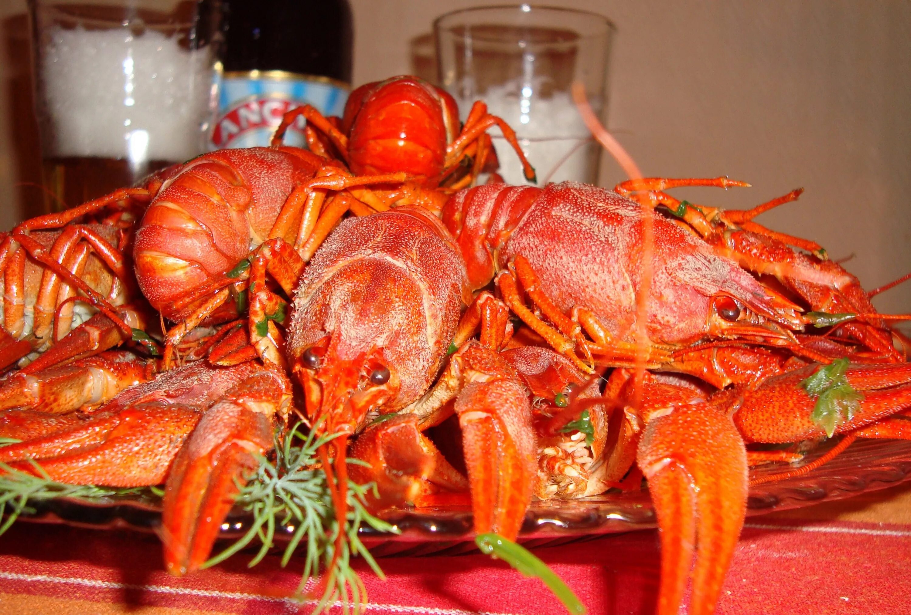 раковарня клешни и хвосты. ноябрьск раковарня. раковарня бар белгород. ред раки. рачки жареные.