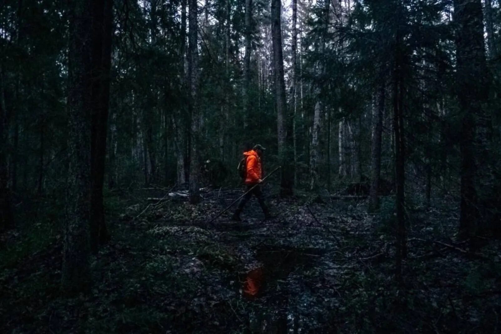 истории о заблудившихся в лесу