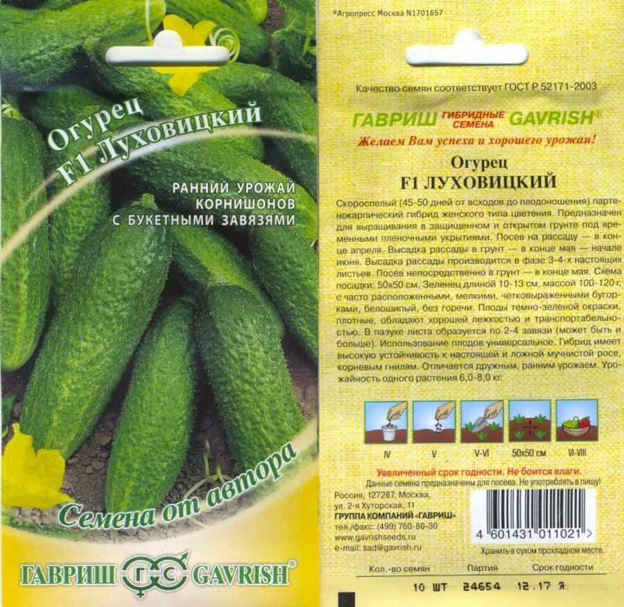 Огурцы луховицкий отзывы фото описание