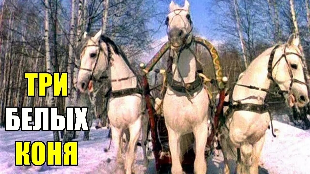Чародеи 3 белых. Чародеи 3 белых