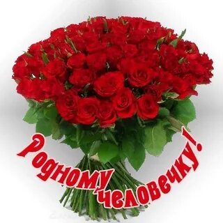 Цветы родной