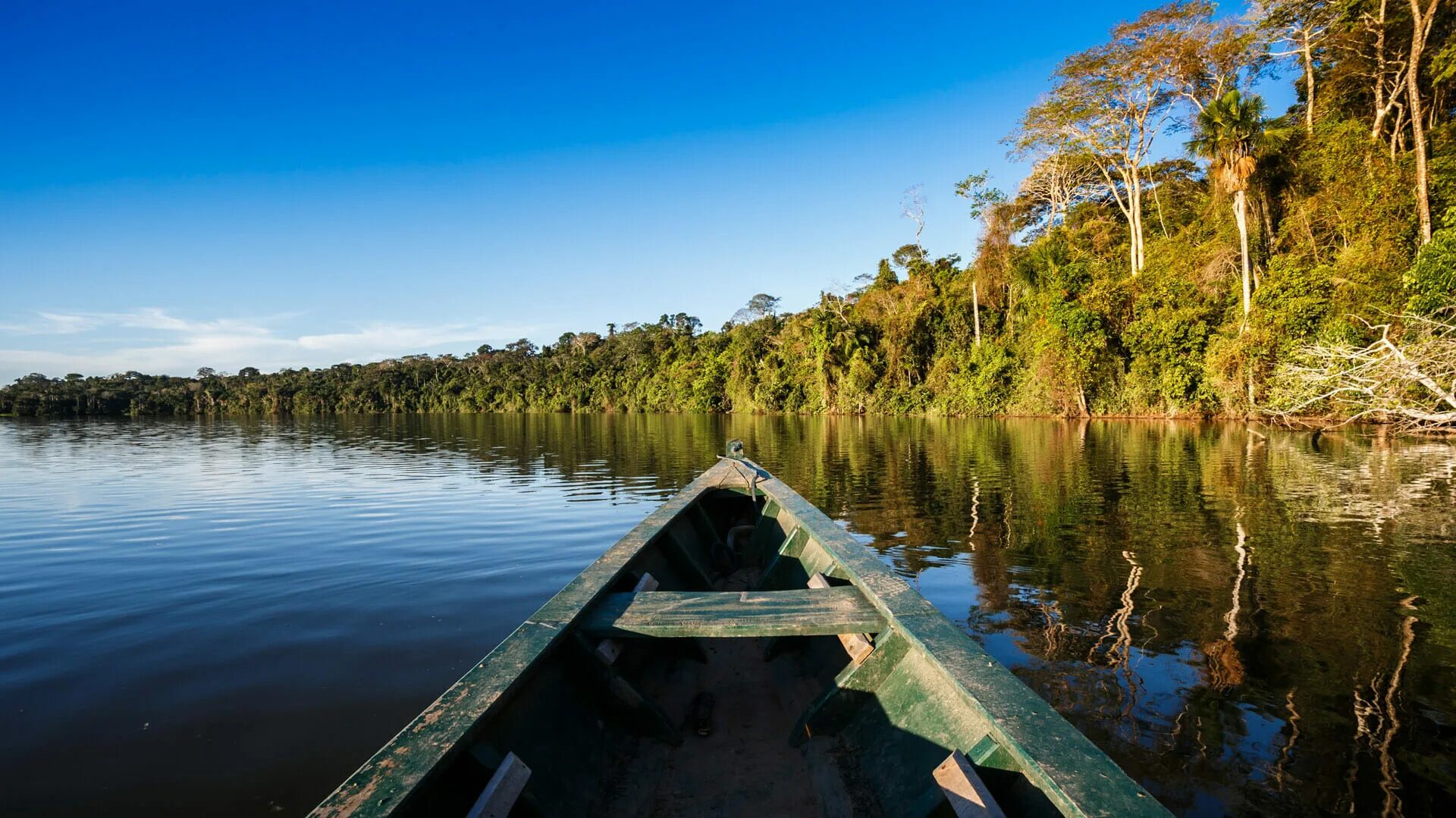 Amazon borneo congo. Манаус Бразилия Амазонка. Джунгли амазонки, Манаус. Река Укаяли Перу. Театр Амазонас Бразилия.