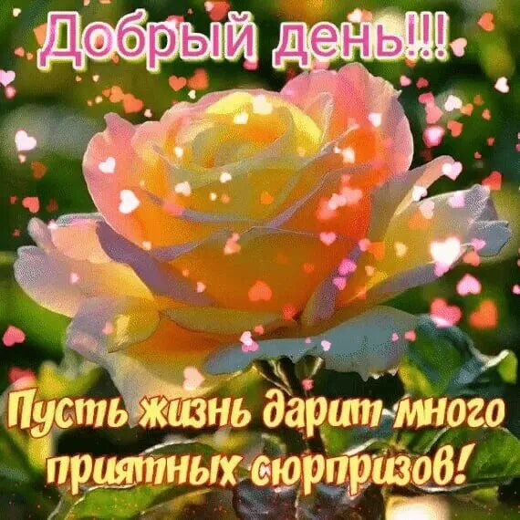 Пусть жизнь преподносит