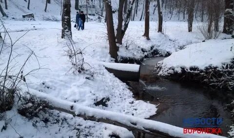 Когда похолодает в воронеже
