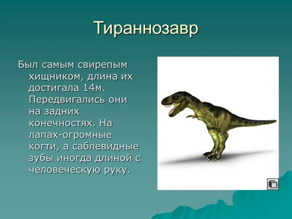 Тираннозавр рекс описание для детей 1. Сообщение о динозаврах. Динозавры слайды. Доклад про динозавров.