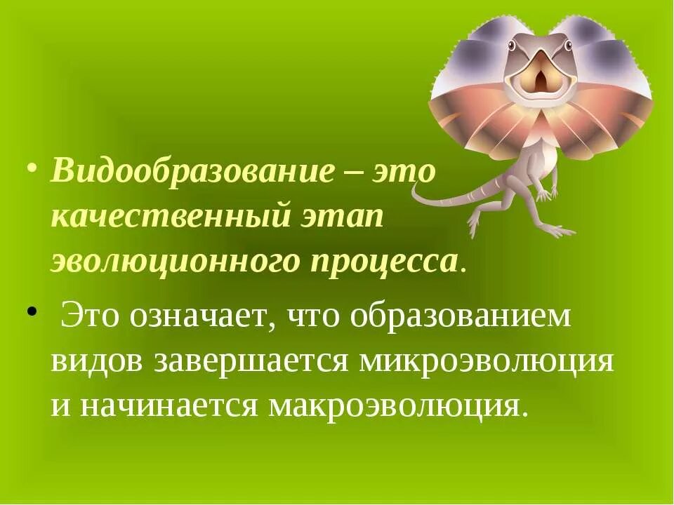 Видообразование тест 9. Микроэволюция. Вид качественный этап эволюционного процесса. Биологический вид качественный этап эволюции. Факторы микроэволюции.