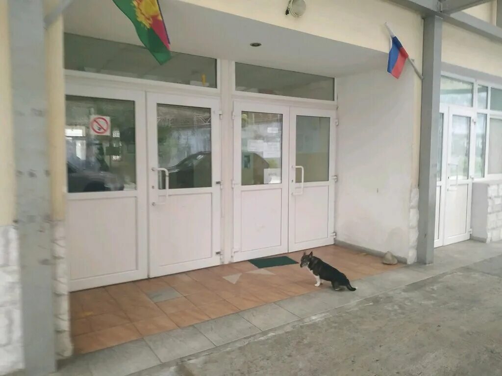 поликлиника на дагомысской. 5 гб. городская больница 5 сочи. сочи горбольница 5. больница 5 дагомыс.