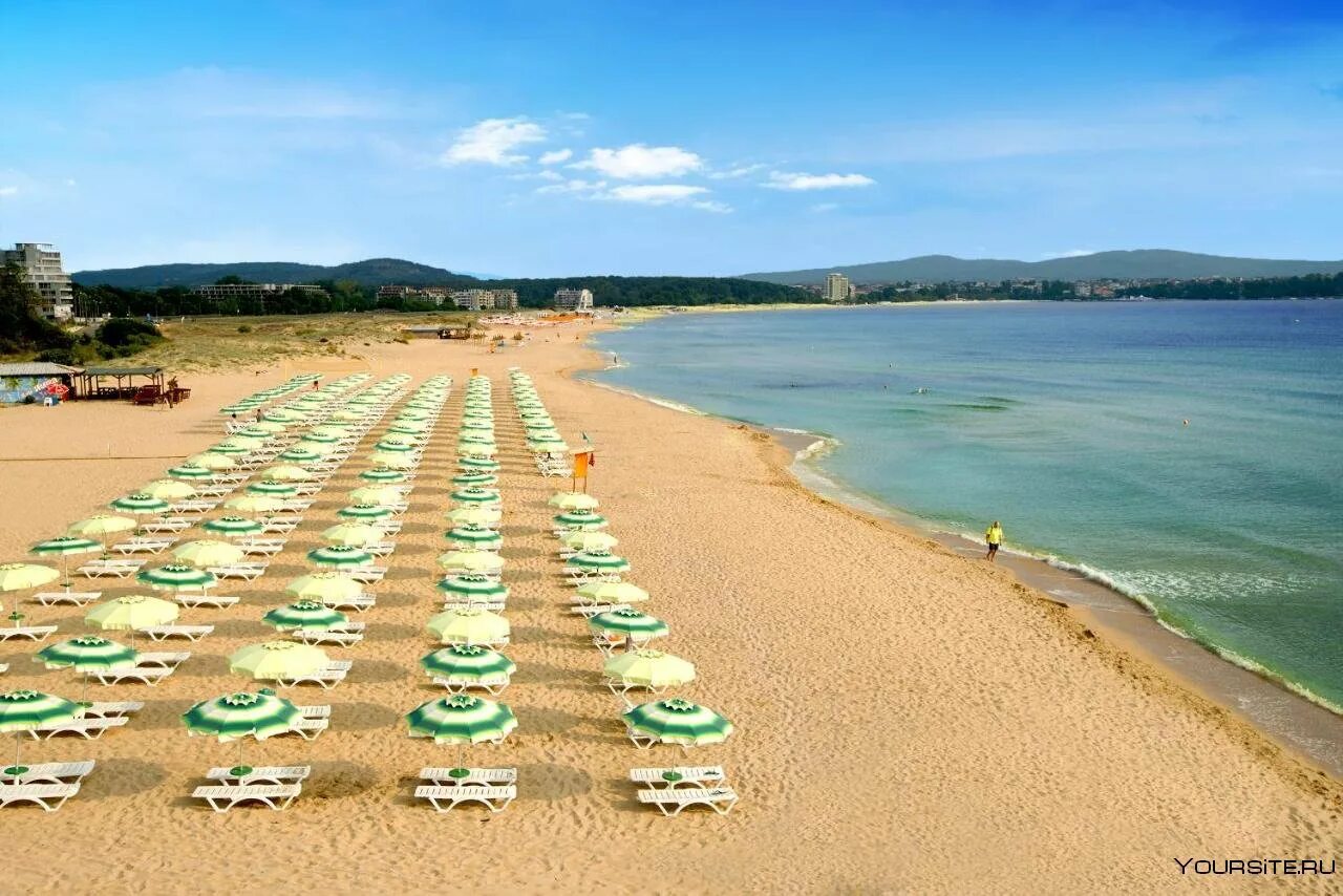 Золотые Пески пляж Болгария 2023. Форест Бич Болгария. Pella Beach Болгария. Пляж золотые Пески Болгария. Отдохнуть на море в июле недорого