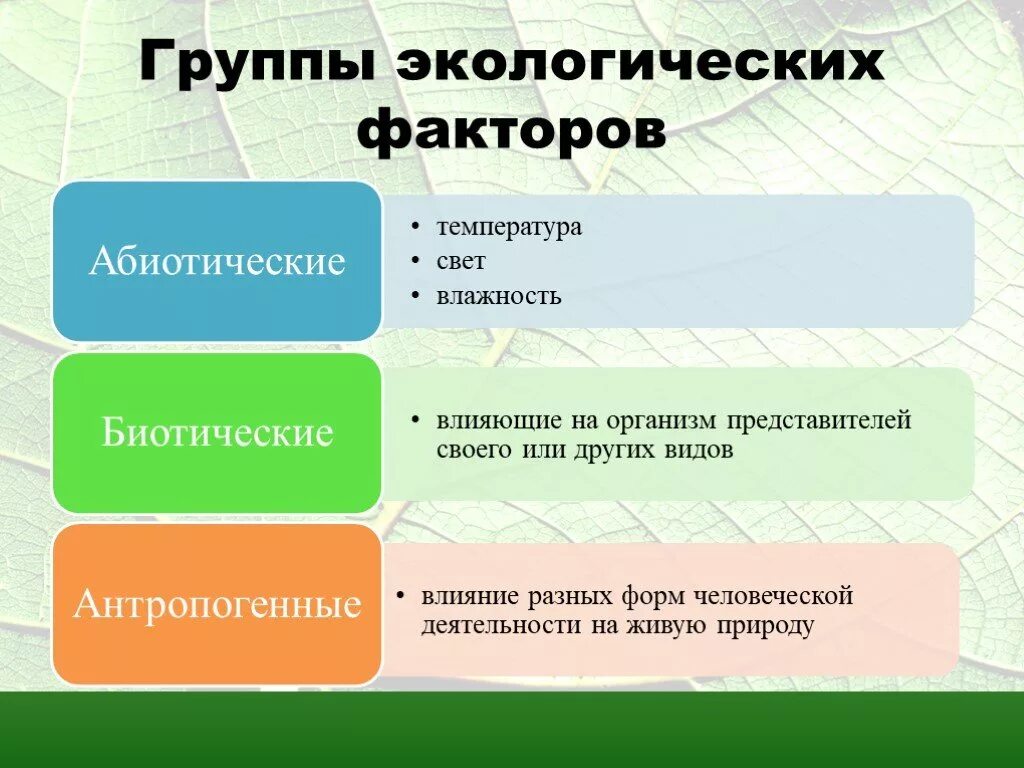 Три фактора окружающей среды. Группы экологических факторов. Экологические факторы. 3 Группы экологических факторов. Перечислите группы экологических факторов.