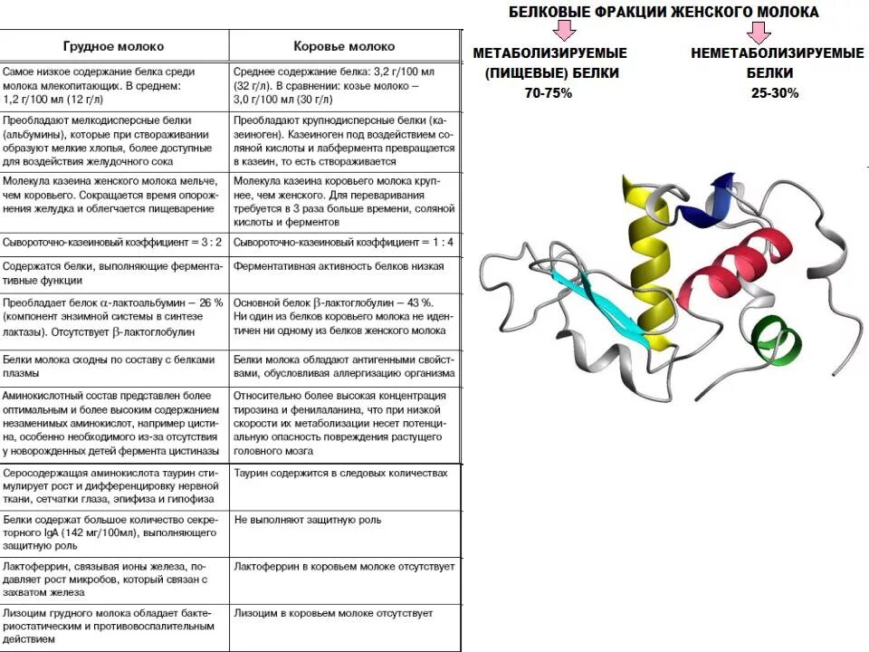 Белки грудного молока. Белки в грудном молоке. Состав грудного молока белки. Аминокислоты в грудном молоке. Гормоны ферменты таблица