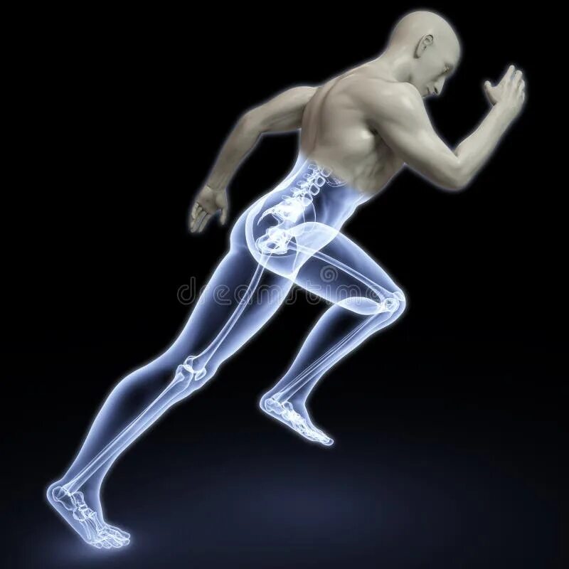 Тело сбежать. Анатомия бегущего человека. Человек в движении. Убегающий человек анатомия. Тело человека в движении.
