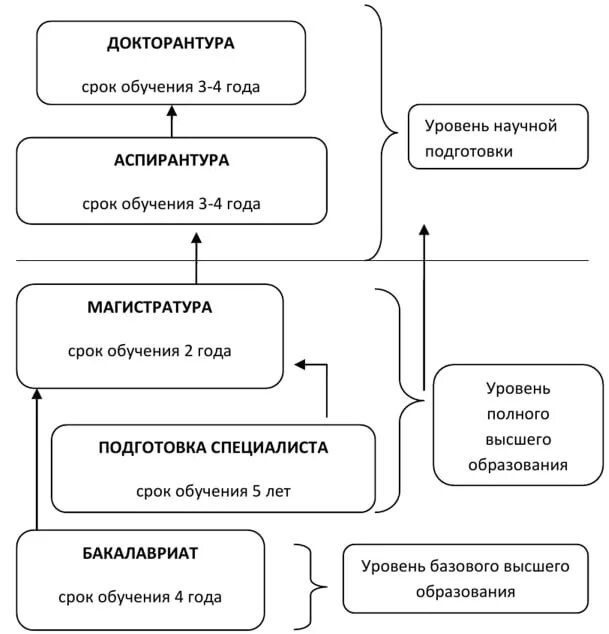 Структура образования в россии схема. Система высшего образования в РФ схема. Уровни высшего образования в РФ схема. Структура высшего образования в РФ. Схема образование этапы РФ.