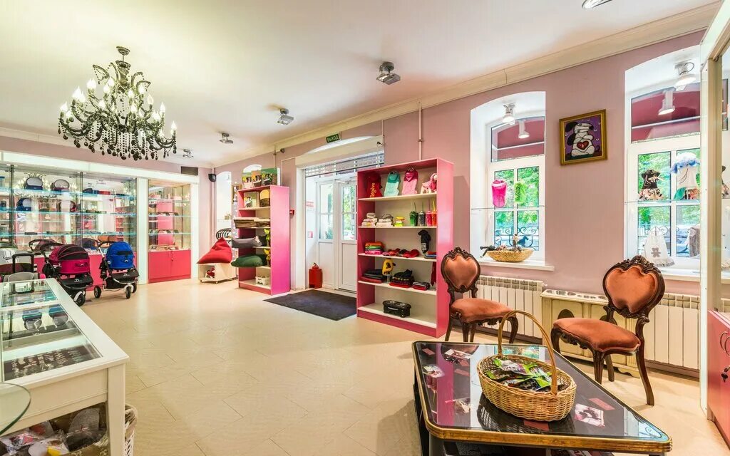 Зоосалон старая купавна. Ветеринарный кабинет саранск химма. Зоосалон старая купавна. Услуги груминг салона. Зоосалон старая купавна.