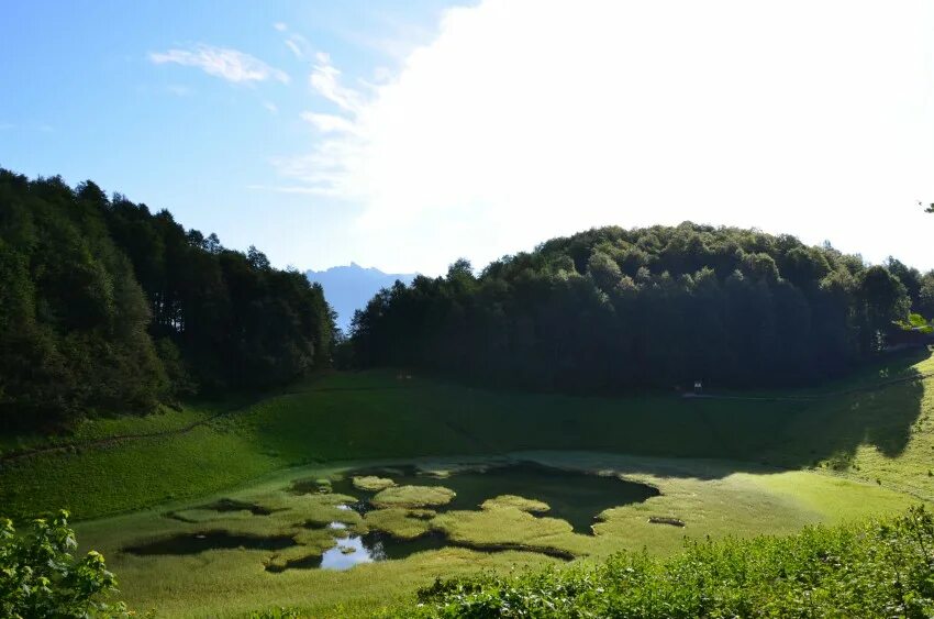 Зеркальной поляны. Озеро зеркальное красная поляна. Хмелевские озера сочи. Озеро зеркальное красная поляна. Зеркальной поляны.