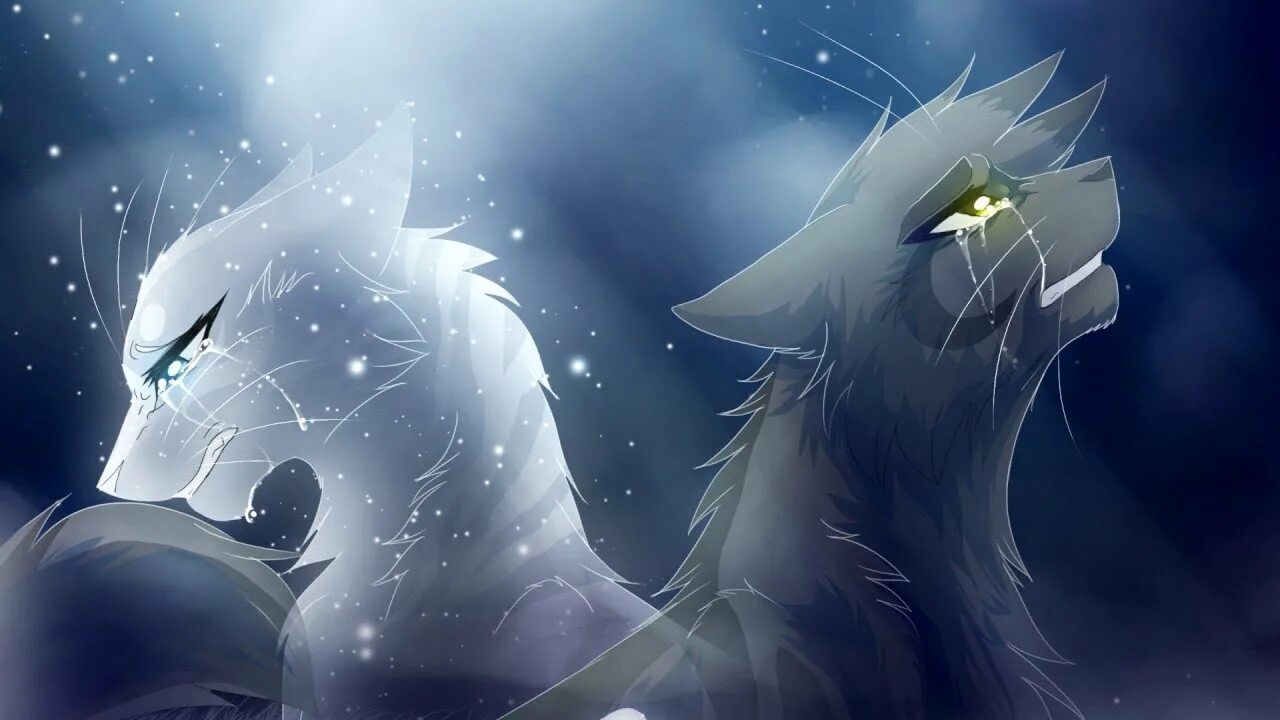 Коты воители расколотое небо читать. Коты воители воробей и половинка луны. коты воители половинка луны. коты воители луна. коты воители воробей и половинка.