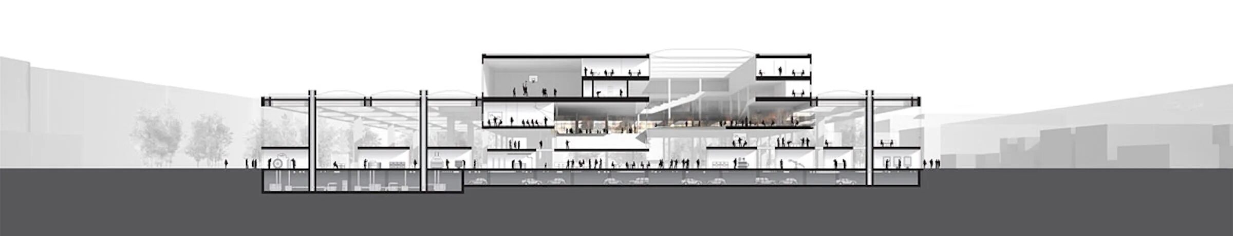 Show section