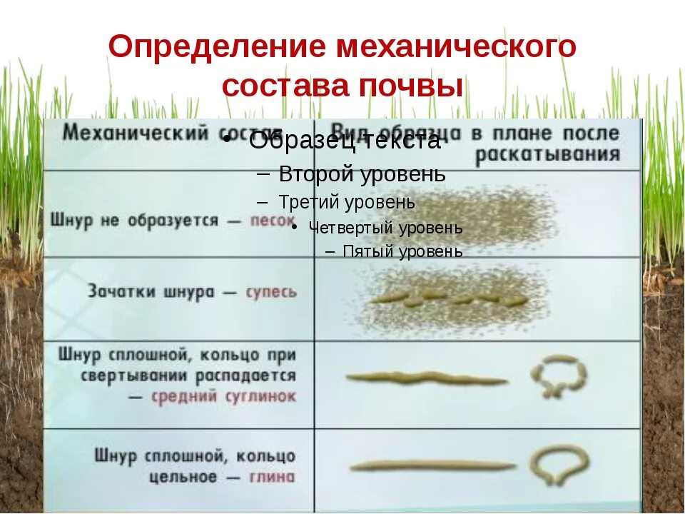 Тип почвы определяется. Определение механического состава почвы. как определить механический состав почвы. механический состав почвы. механическая структура почвы.