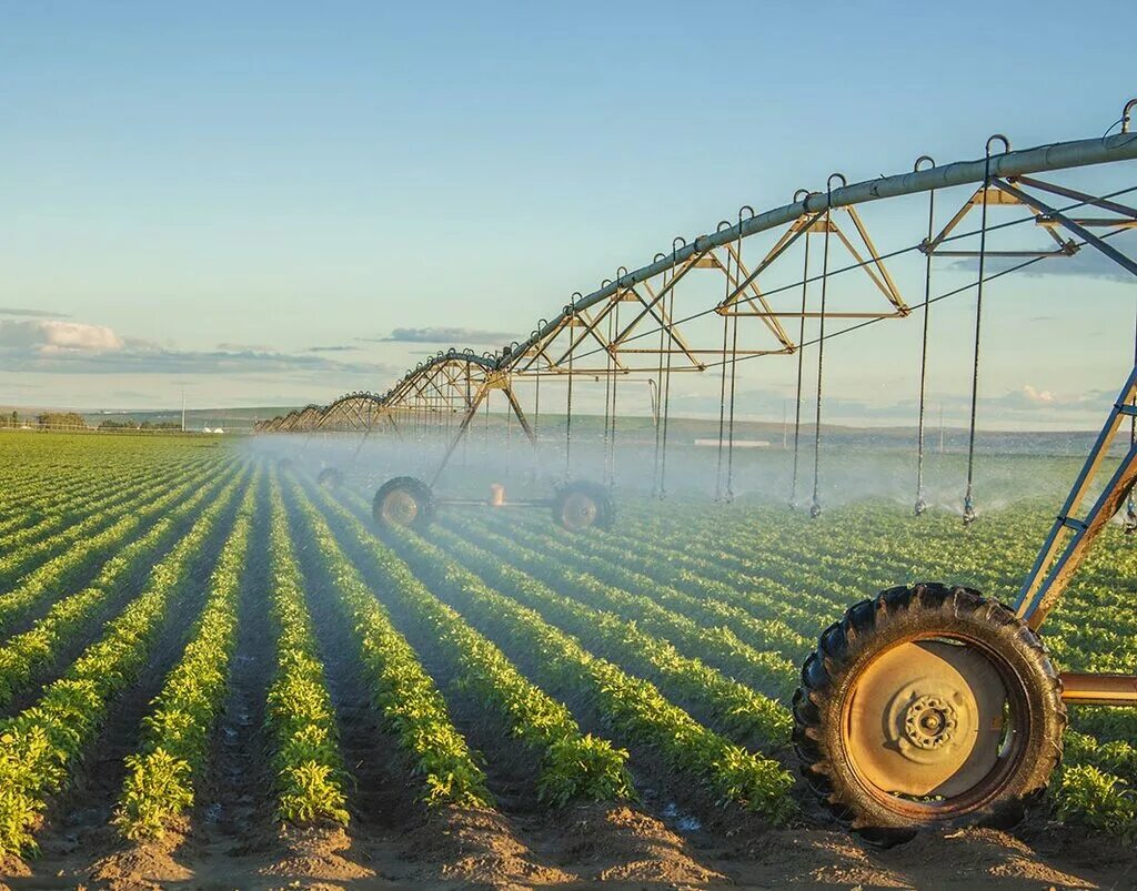 люди и мелиорация. мелиорация земель гидромелиорация. департамент мелиорации. мелиорация саратовской области. развитие мелиоративного комплекса.