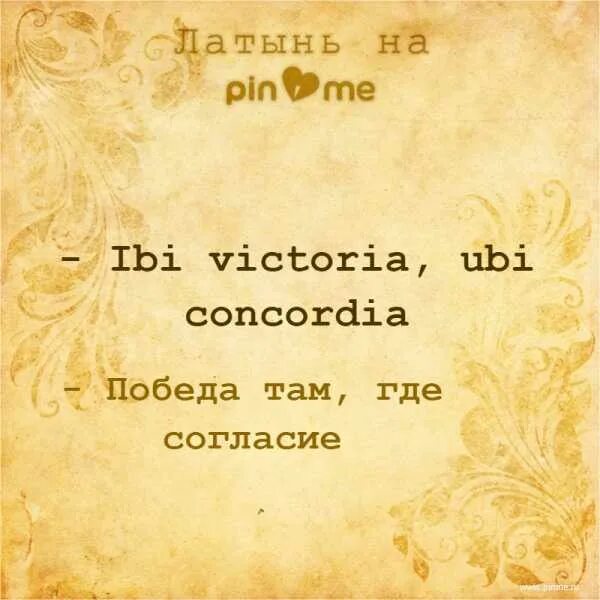 Он знал довольно по латыни. Цитаты на латинском. цитаты на латыни. латинские высказывания. крылатые высказывания на латыни.