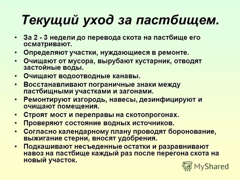 коровы на пастбище. трактор для полива полей. внесение удобрений на поля. коровы в селе. выпас крупного рогатого скота.