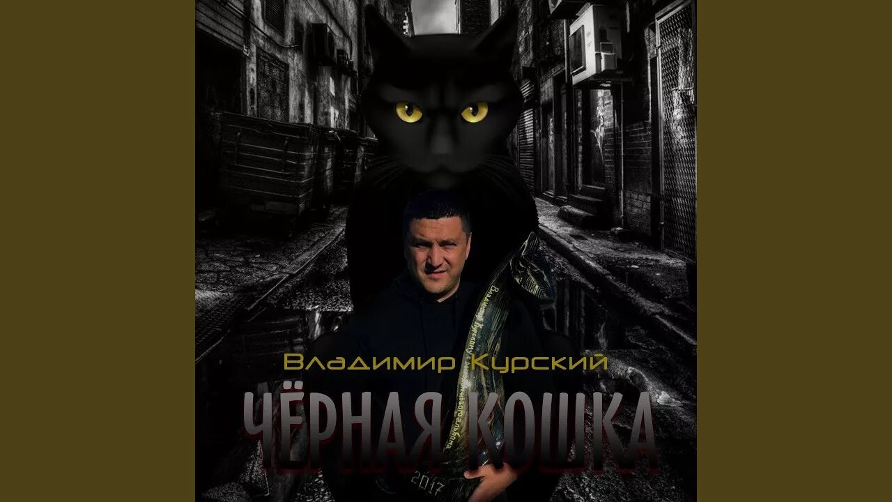 Аудиокнига черные кошки слушать. The black cat edgar allan poe. Аудиокнига черные кошки слушать. Аудиокниги про кошек. Аудиокнига черные кошки слушать.