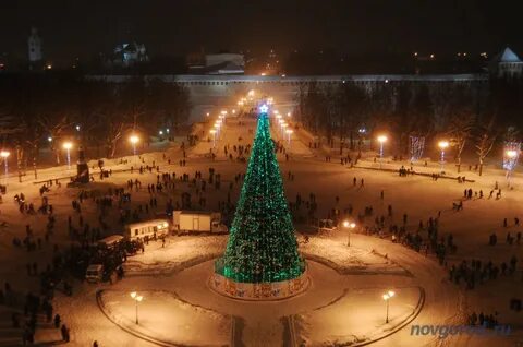 Ели великий новгород