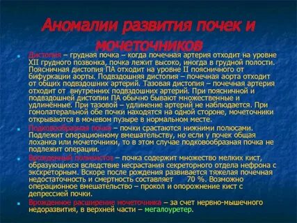 Грудная почка