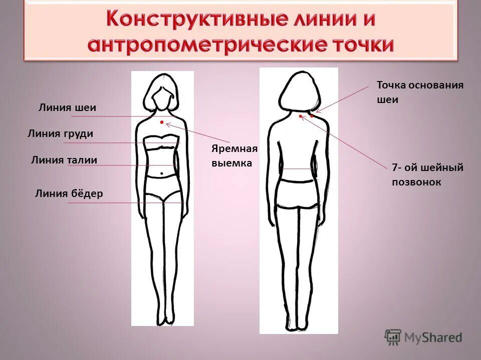 платье с конструктивными линиями. линии измерения фигуры. основные конструктивные линии. конструктивные линии фигуры человека 5 класс. основные конструктивные линии.