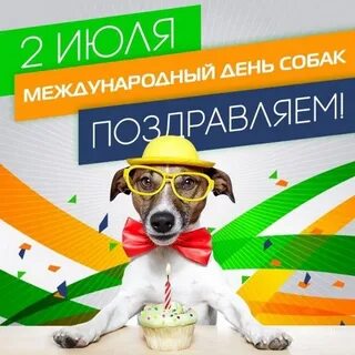 2 июля собаки