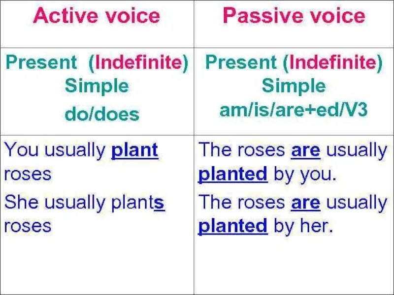 Present indefinite Active and Passive. Present simple активный и пассивный залог. Present simple действительный залог. Пассивный залог present simple. Present pent