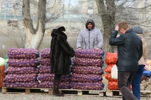 Выходные дни в астрахани