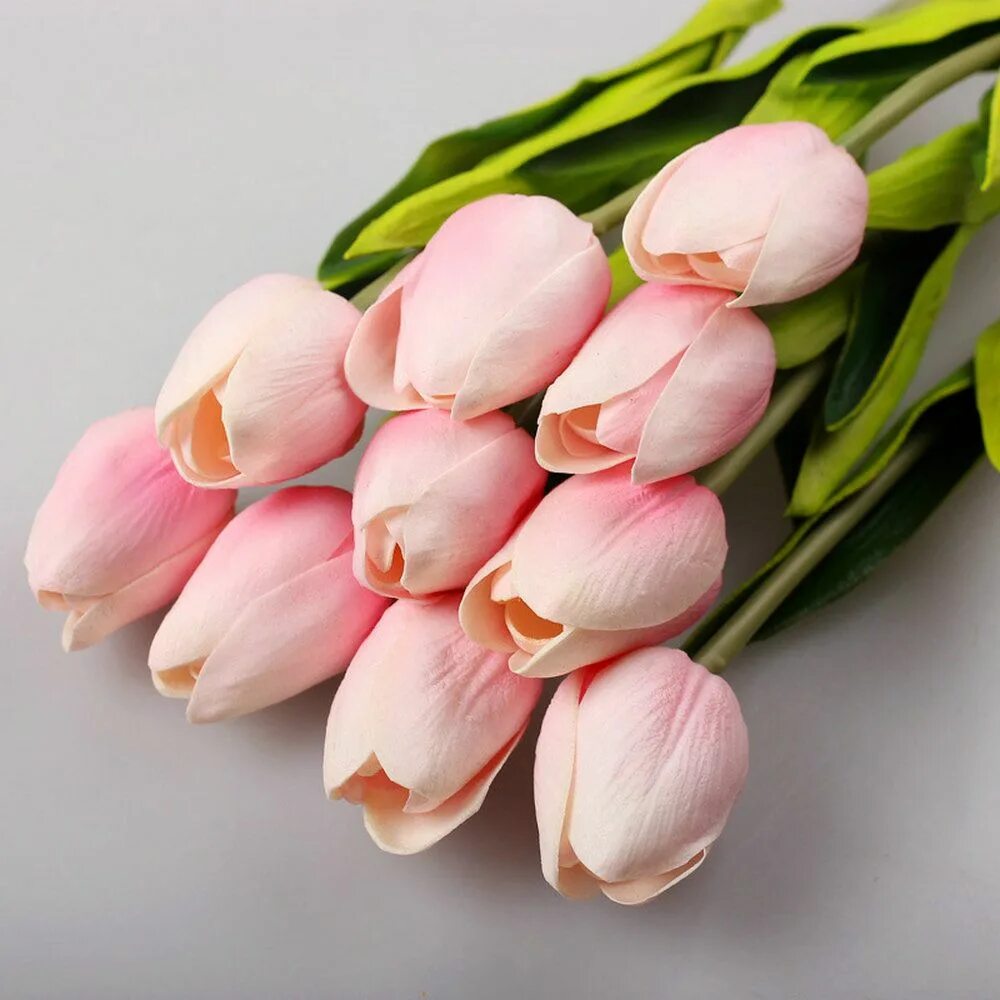 Что значат розовые тюльпаны. Тюльпаны Реал тач. Тюльпаны. Нежно-розовый. Нежные тюльпаны. Букет тюльпанов.