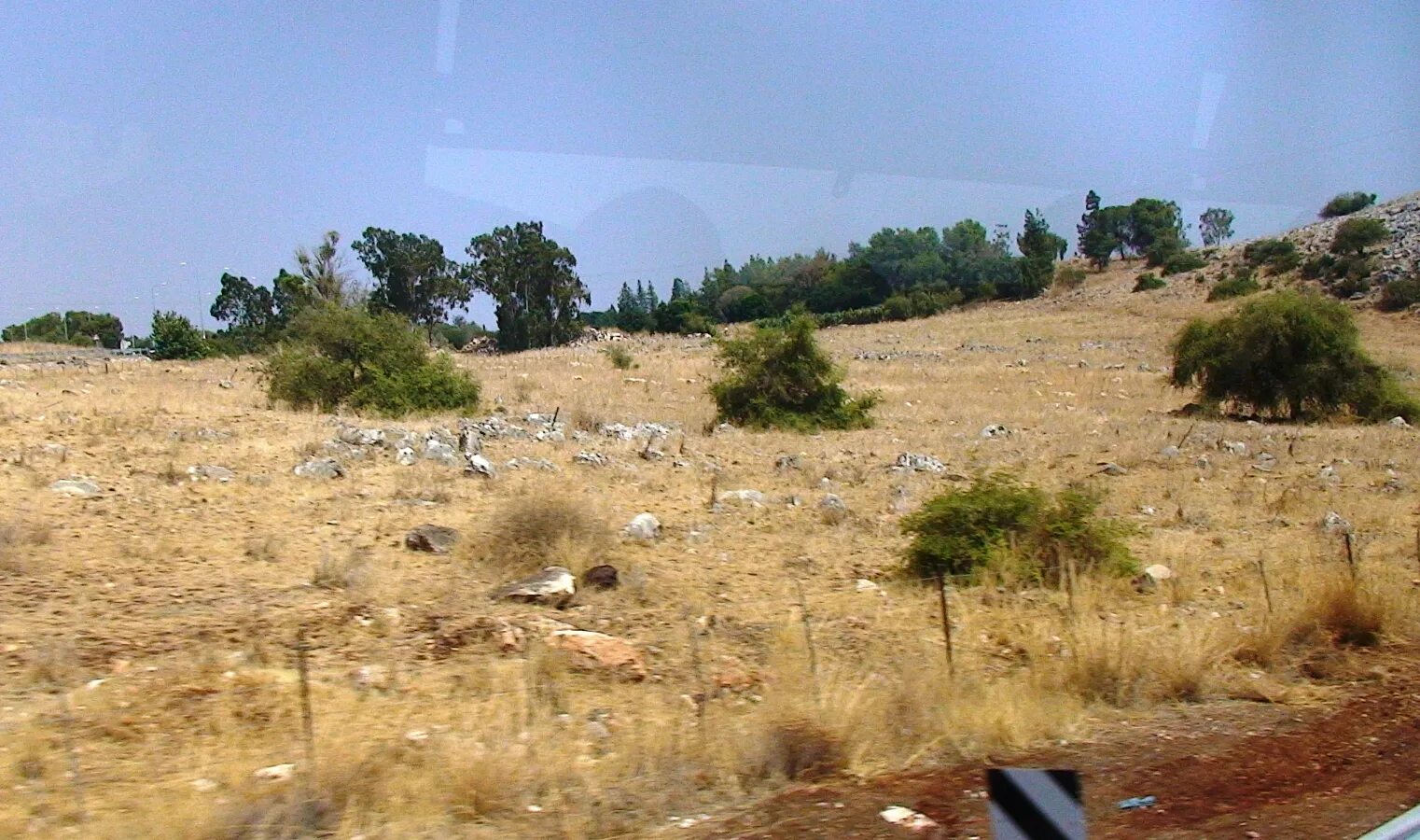 какая земля в израиле. иерусалим из космоса. какая земля в израиле. минеральные израиля. защищённый грунт израиль.