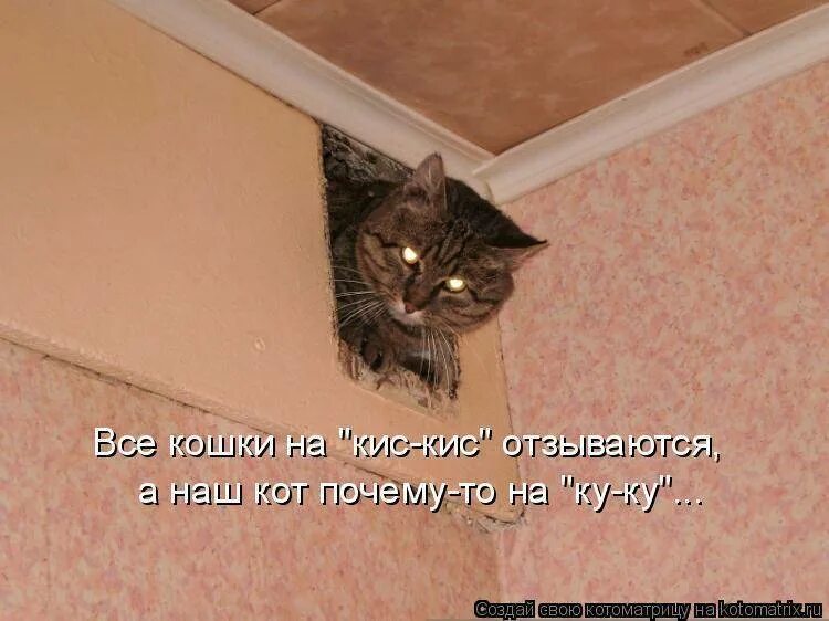 Хочу новое платье. Прикол туда не ходи сюда ходи. Смешные надписи и вывески. Хожу по квартире туда сюда. Картинка туда сюда.