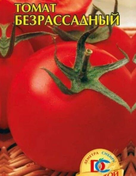 Томат безрассадный характеристика. Сорт безрассадный помидоры. Томат безрассадный Уральский Дачник. Безрассадный сорт томаты Барнаул. Томат безрассадный сорта Хара.