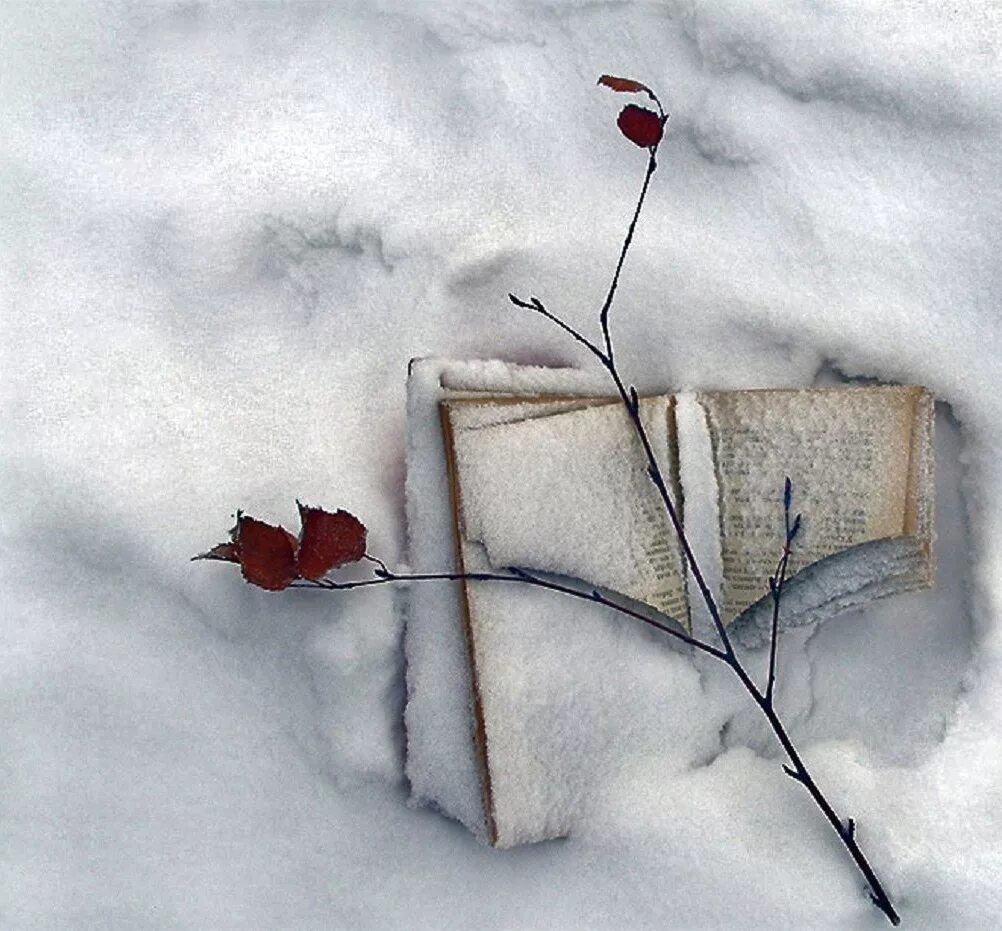 Поутру увидел на улице кучки. Письмо на снегу. Снег рисунок. Тени от деревьев на снегу. Мартовские тени на снегу.