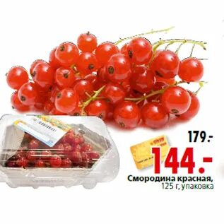 Смородина рязань
