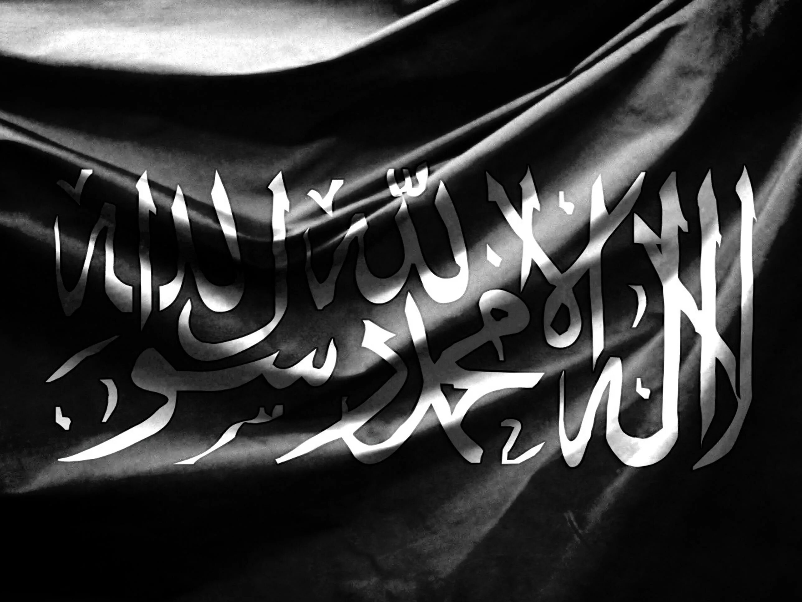 Bad north 2. N title. N title. Title boxing logo. Nxt north american championship.