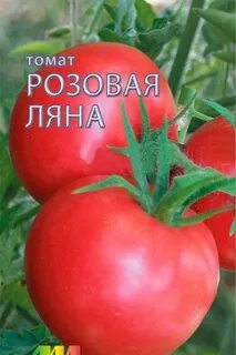 Томат розовая ляна отзывы характеристика