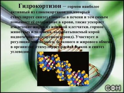 Гидрокортизон гормон