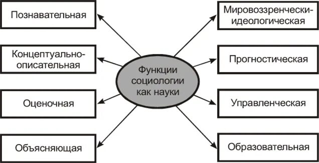 Функции и задачи социологии. Функции и задачи социологии