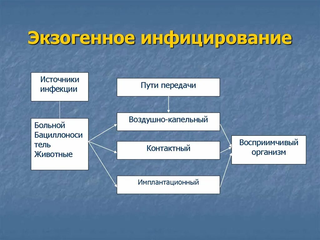 Инфекционные заболевания механизм передачи инфекции