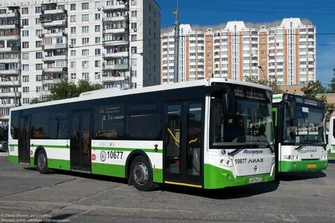 Автобус 167 маршрут расписание москва