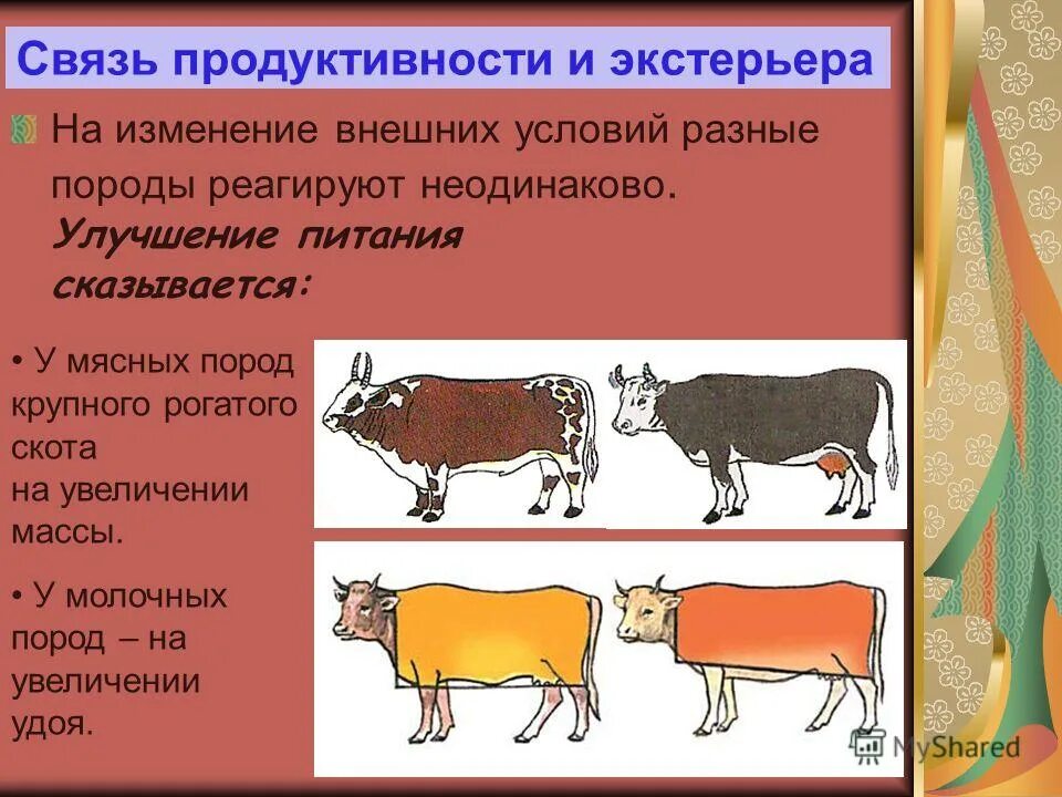 Какой тип развития характерен для животных потомство