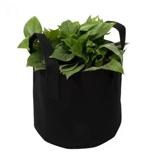 Bag plant